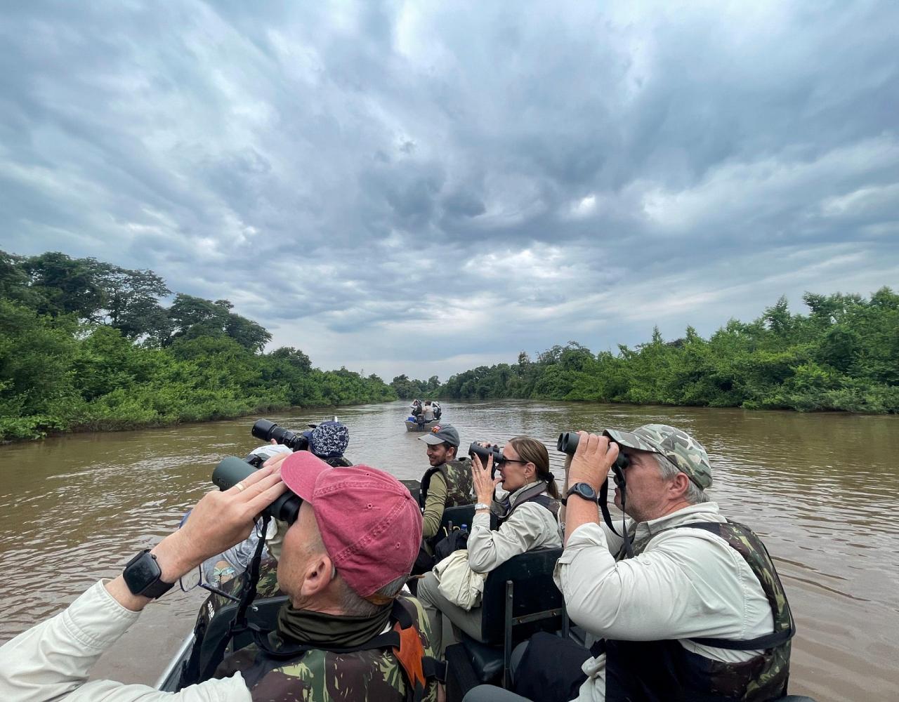 Birding Brazil, Bird watching Brazil, Brazil, South American Birds, Naturalist Journeys, Wildlife Tour, Wildlife Photography, Ecotourism, Specialty Birds, Endemic Birds, Birding Hotspot, Jaguar, Pantanal