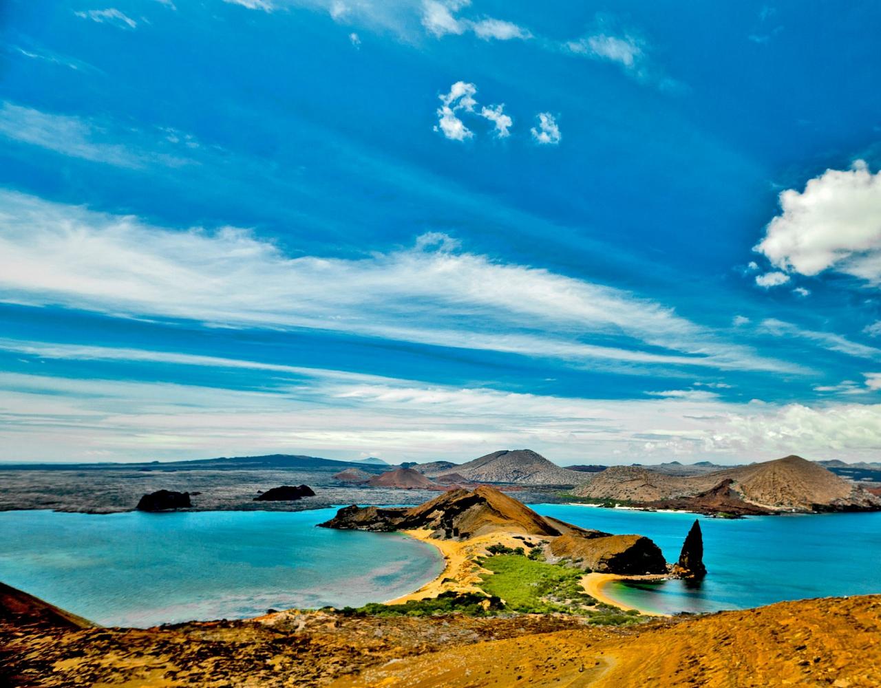 Birding Galapagos, Bird watching Galapagos, Galápagos Islands, South American Birds, Naturalist Journeys, Wildlife Tour, Wildlife Photography, Ecotourism, Specialty Birds, Endemic Birds, Birding Hotspot, Cruise