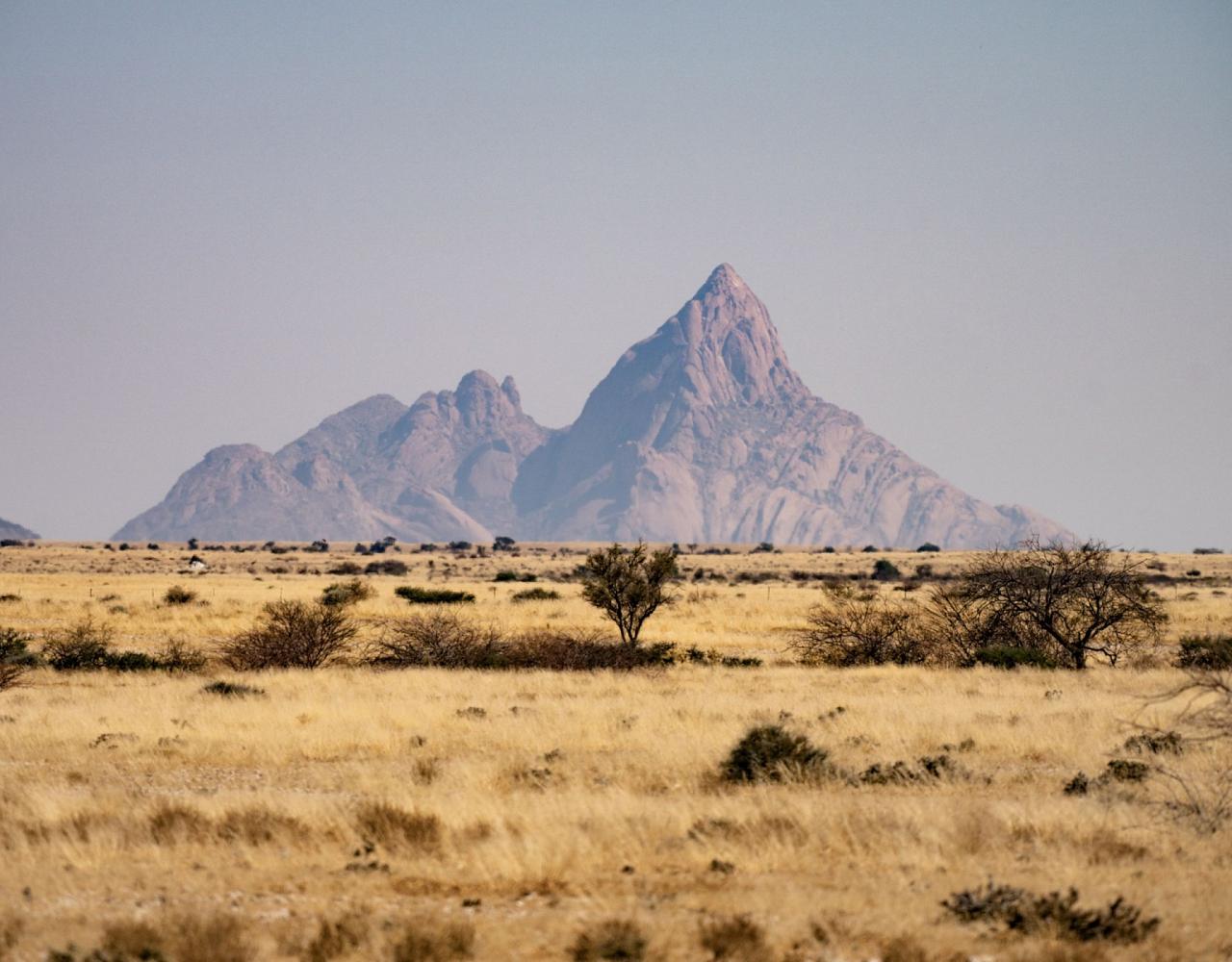 Birding Namibia, Birding Botswana, Africa, African birds, Naturalist Journeys, Wildlife Tour, Wildlife Photography, Ecotourism, Specialty Birds, Endemic Birds, Birding Hotspot, Birding Safari, Lion, Jaguar, Elephant