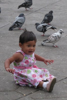Guatemala, Guatemala Birding Tour, Guatemala, Naturalist Journeys