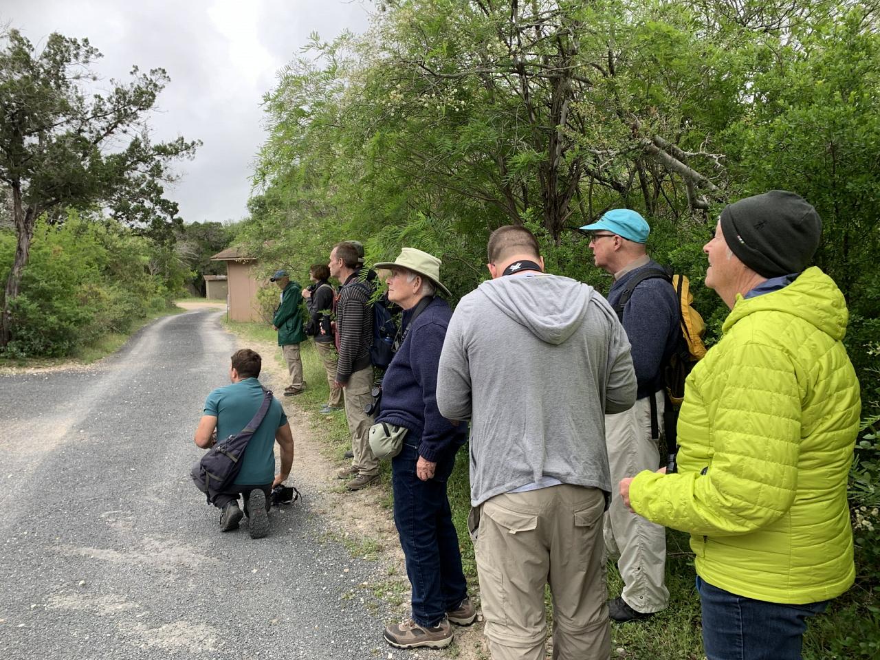 Birding Group, Texas Hill Country, Texas, Texas Birding Tour, Texas Nature Tour, Naturalist JOunreys 