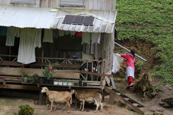 Guatemalan Rural Life, Guatemala Birding Tour, Guatemala, Naturalist Journeys