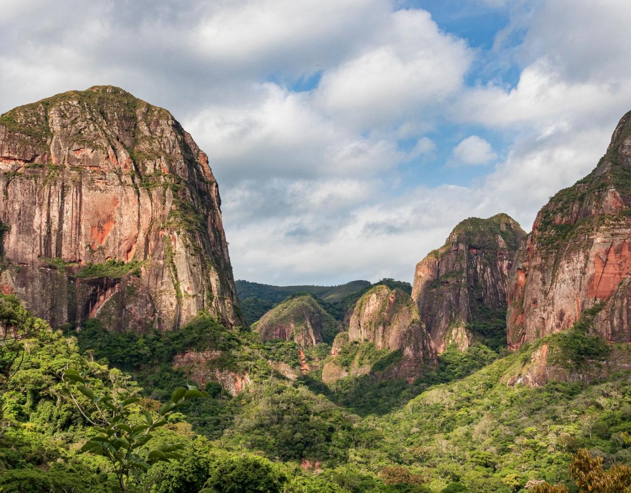 Birding Bolivia, Bird watching Bolivia, South America, Naturalist Journeys, Wildlife Tour, Wildlife Photography, Ecotourism, Specialty Birds, Birding Hotspot