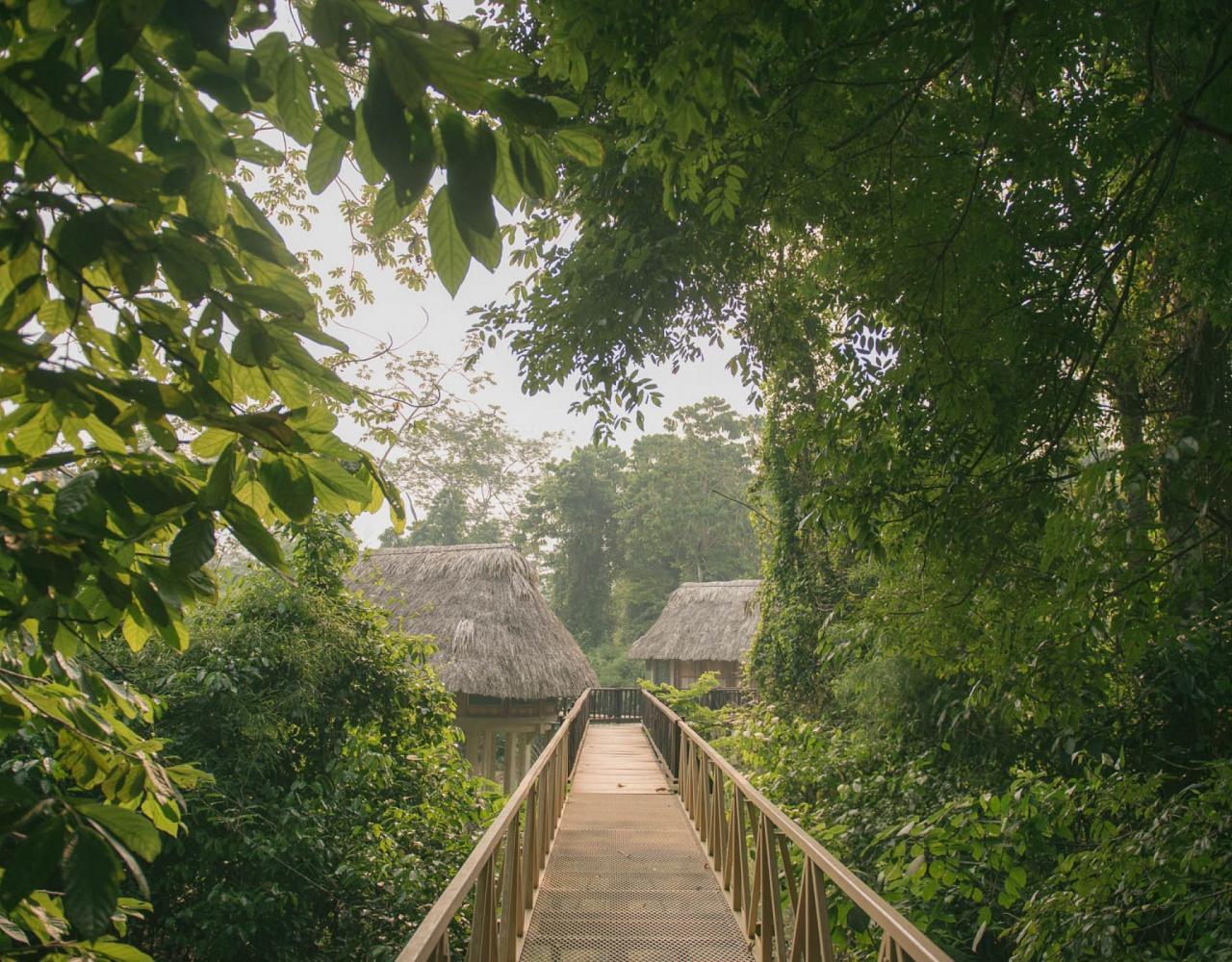 Birding Belize, Bird watching, Central America, Neotropics, Naturalist Journeys, Wildlife Tour, Wildlife Photography, Ecotourism, Specialty Birds, Birding Hotspot
