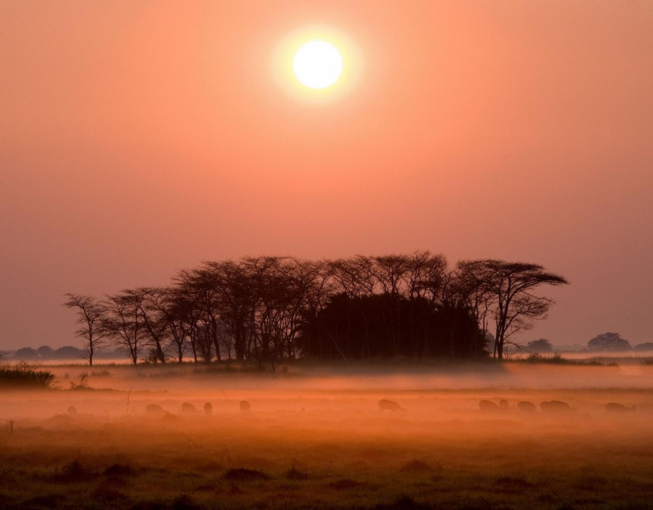 Birding Zimbabwe, Bird watching Zambia, Africa, African Safari Journeys, Wildlife Tour, Wildlife Photography, Ecotourism, Specialty Birds, Birding Hotspot