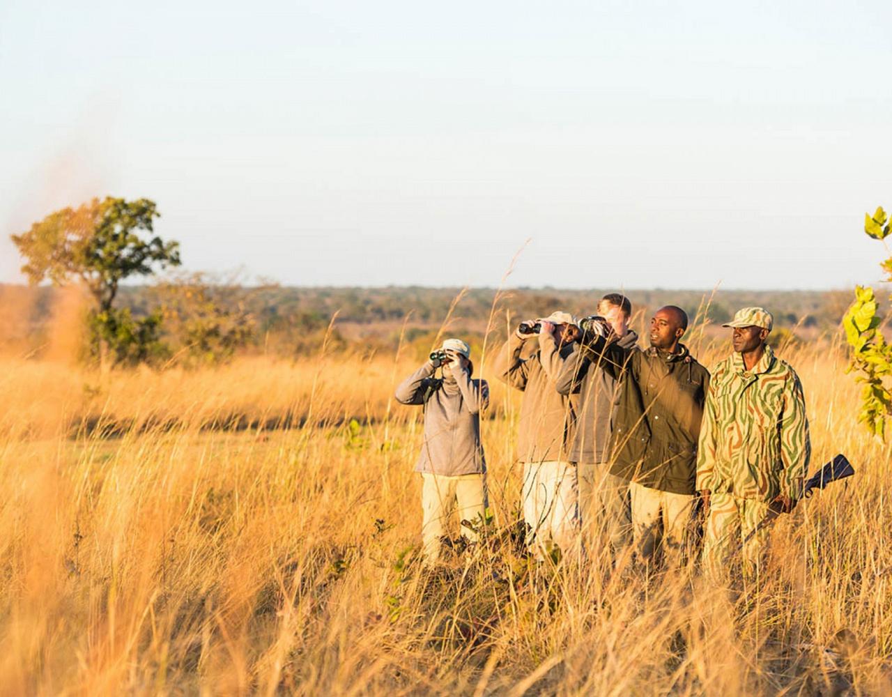 Birding Zimbabwe, Bird watching Zambia, Africa, African Safari Journeys, Wildlife Tour, Wildlife Photography, Ecotourism, Specialty Birds, Birding Hotspot