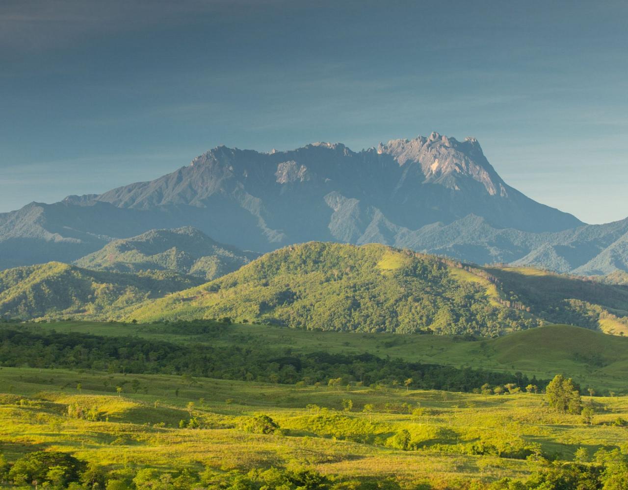 Borneo Birding, Wildlife and Nature tour with Naturalist Journeys, Southeast Asia, Birdwatching, Pygmy Elephant, Orangutan, Gliding Tree Frogs and Endemic Birds