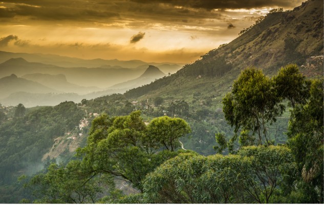 Western Ghats Mountains, India Birding and Nature Tour with Naturalist Journeys to Southern India and Nagarhole National Park