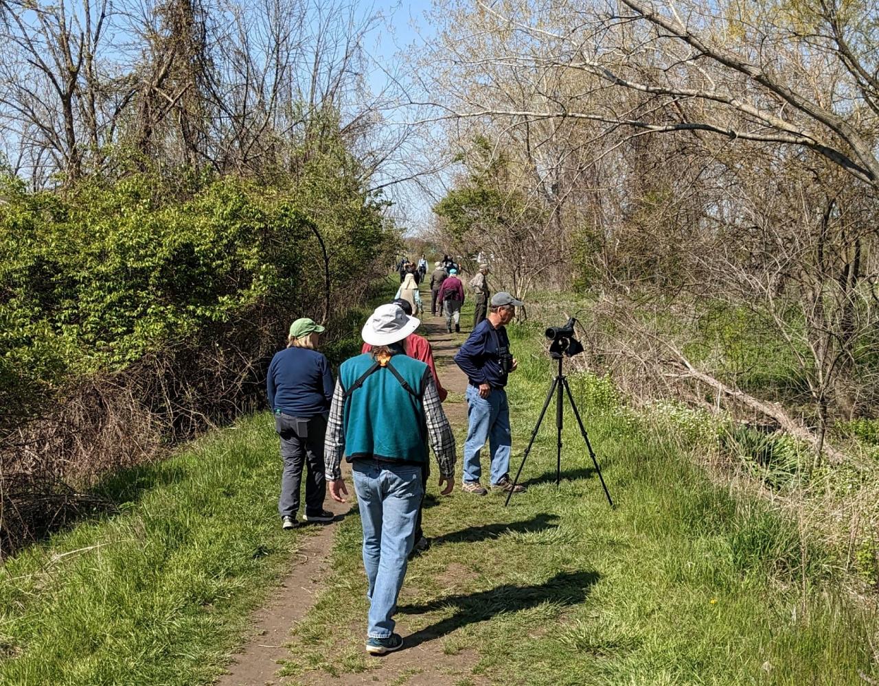 Northeast Ohio Birding Migration, Nature & Wildlife Tours 2024 Naturalist Journeys
