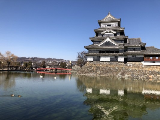 Matsumoto Castle, Japan tour, Japanese nature tour, Japan birding, Japan Birding & nature, Naturalist Journeys