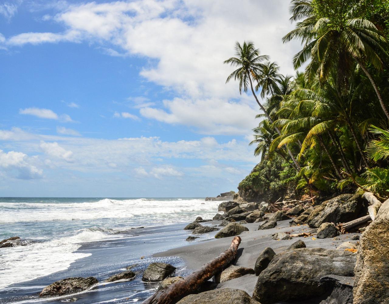 Birding Lesser Antilles, Bird watching, St. Lucia, Dominica, St. Vincent, Naturalist Journeys, Wildlife Tour, Wildlife Photography, Ecotourism, Specialty Birds, Endemic Birds, Birding Hotspot