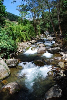 Savegre River, Costa Rica, Costa Rica Nature Tour, Costa Rica Birding Tour, Winter Costa Rica Tour, Naturalist Journeys