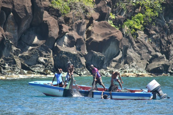 Fishing off of Montserrat, Lesser Antilles Birding Tour, Naturalist Journeys, Lesser Antilles Endemics, Lesser Antilles Wildlife, Caribbean Birding