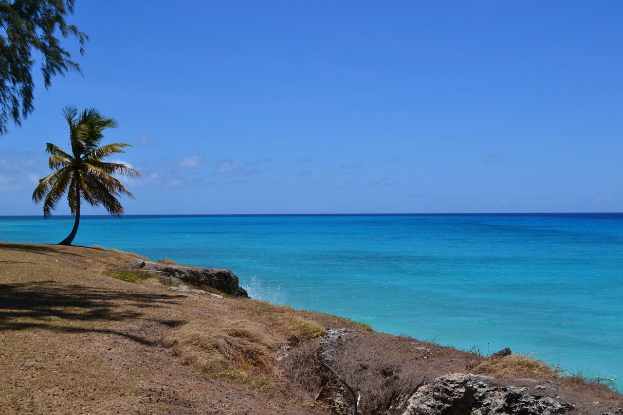 South Point, Barbados, Lesser Antilles Birding Tour, Naturalist Journeys, Lesser Antilles Endemics, Lesser Antilles Wildlife, Caribbean Birding