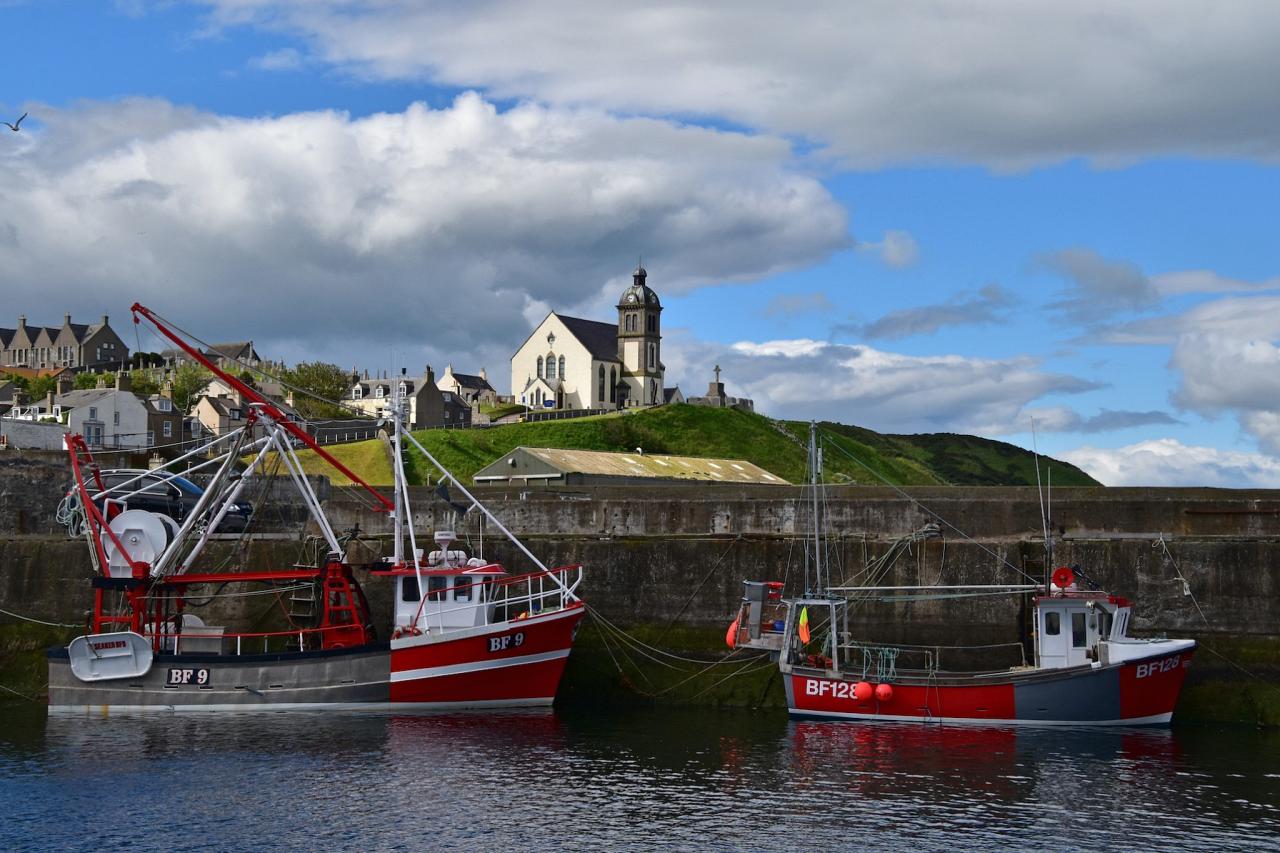 Coastal Village, Scotland, Scottish Highlands, Scottish Islands, Scotland Birding Tour, Scotland Nature Tour, Naturalist Journeys