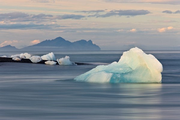 Jokulsarlon, Iceland Birding Tour, Iceland Nature Tour, Iceland Wildlife Tour, Naturalist Journeys