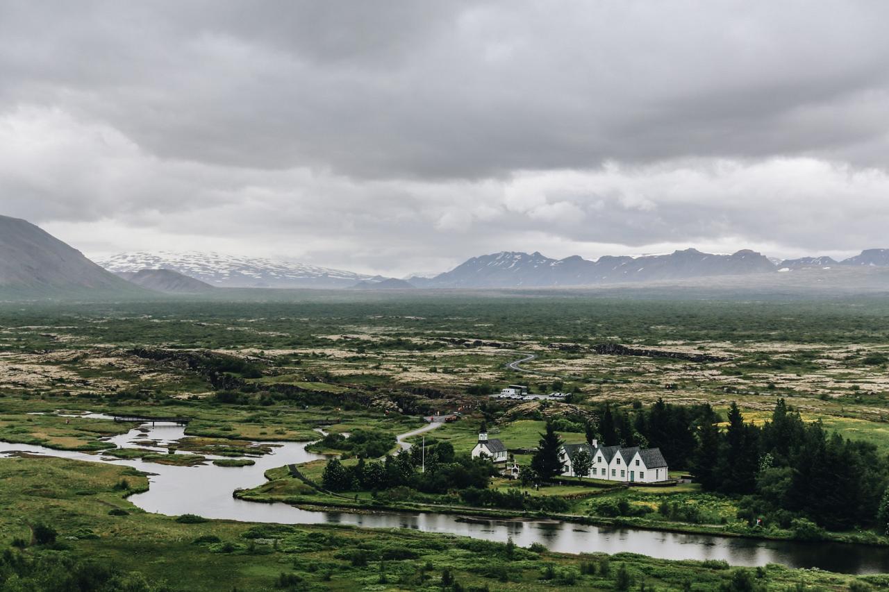 Iceland, Iceland Birding Tour, Iceland Nature Tour, Iceland Wildlife Tour, Naturalist Journeys