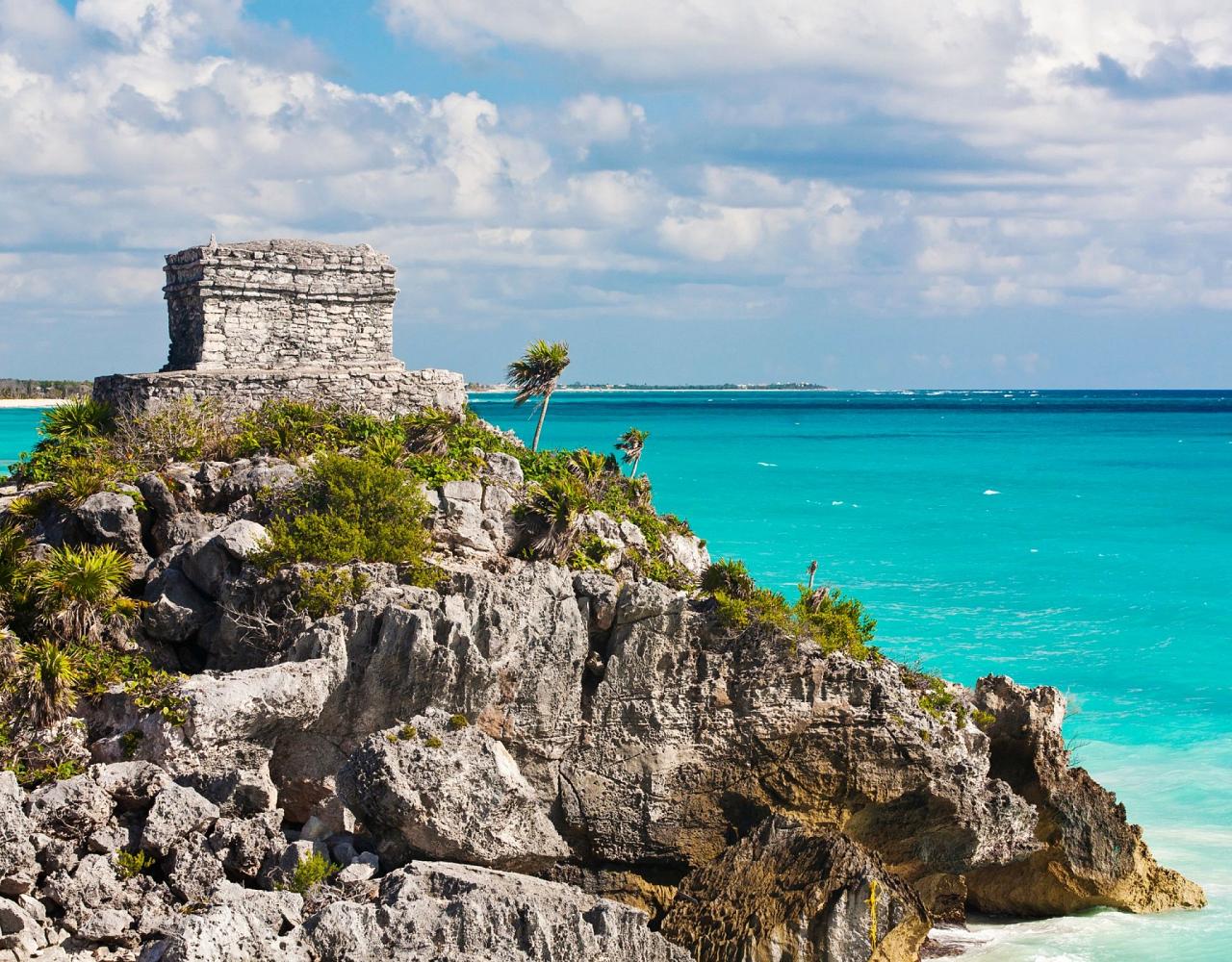 Birding Mexico, Bird watching Yucatán Peninsula, Mexico Nature Tour, Naturalist Journeys, Wildlife Tour, Wildlife Photography, Ecotourism, Specialty Birds, Birding Hotspot