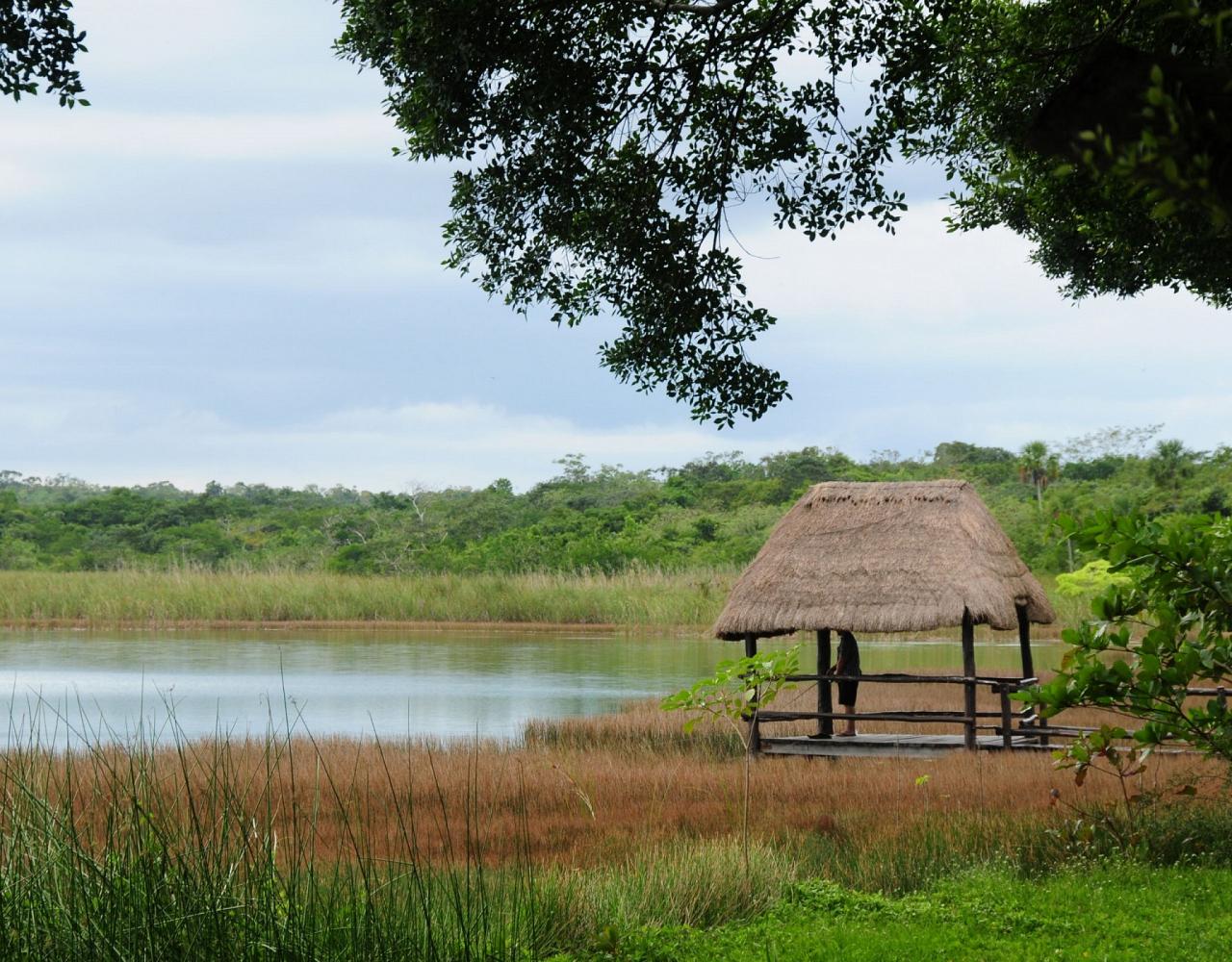 Birding Mexico, Bird watching Yucatán Peninsula, Mexico Nature Tour, Naturalist Journeys, Wildlife Tour, Wildlife Photography, Ecotourism, Specialty Birds, Birding Hotspot