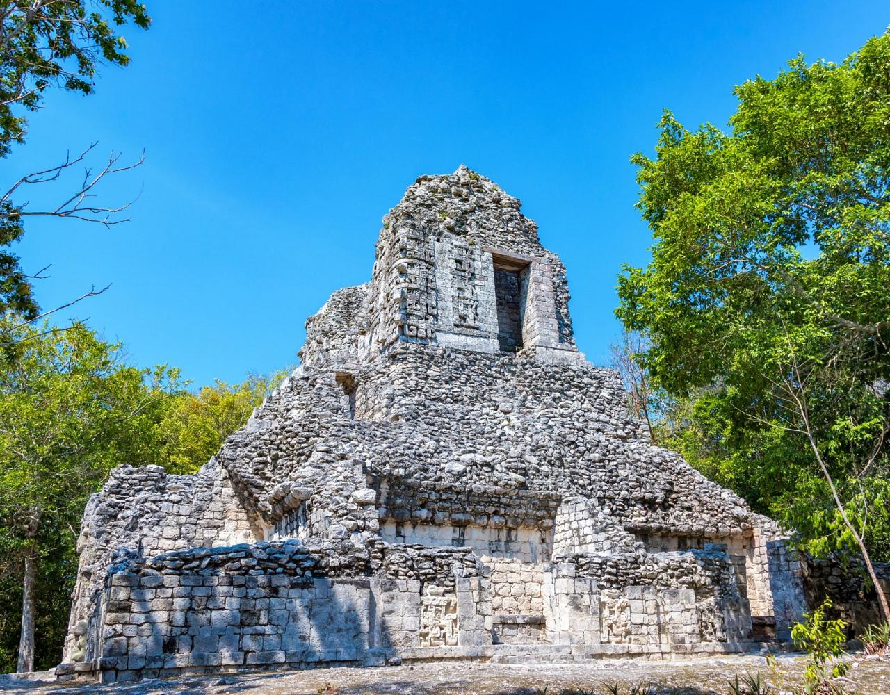Birding Mexico, Bird watching Yucatán Peninsula, Mexico Nature Tour, Naturalist Journeys, Wildlife Tour, Wildlife Photography, Ecotourism, Specialty Birds, Birding Hotspot