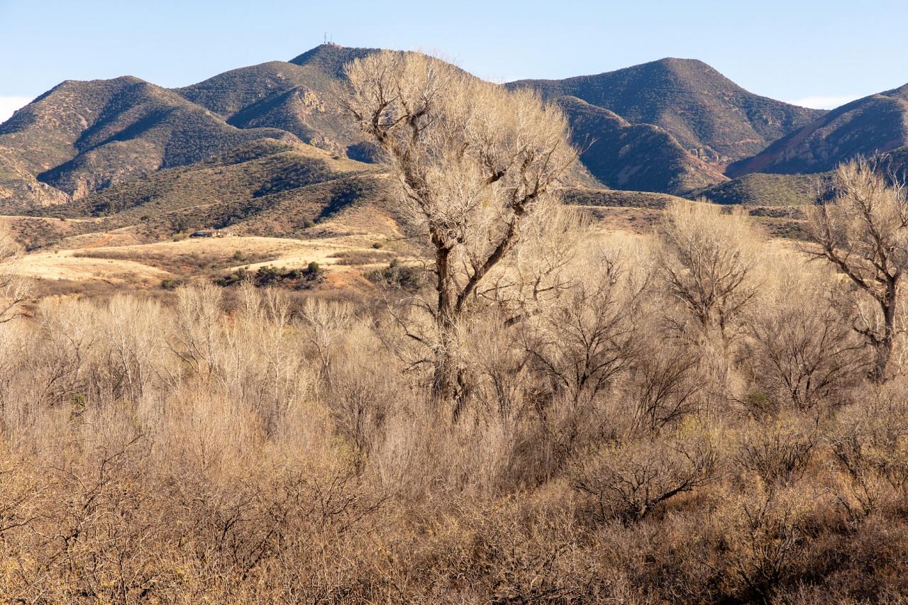 Landscape, Arizona, Arizona Nature Tour, Arizona Birding Tour, Naturalist Journeys