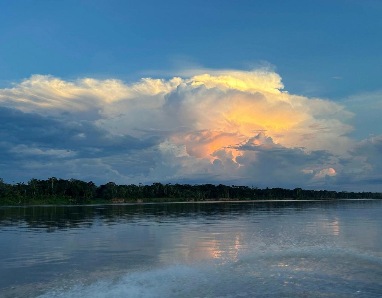 Birding the Amazon, Bird watching South America, Nature Tour, Amazon River, Naturalist Journeys, Wildlife Tour, Wildlife Photography, Ecotourism, Specialty Birds, Birding Hotspot, Endemic Birds