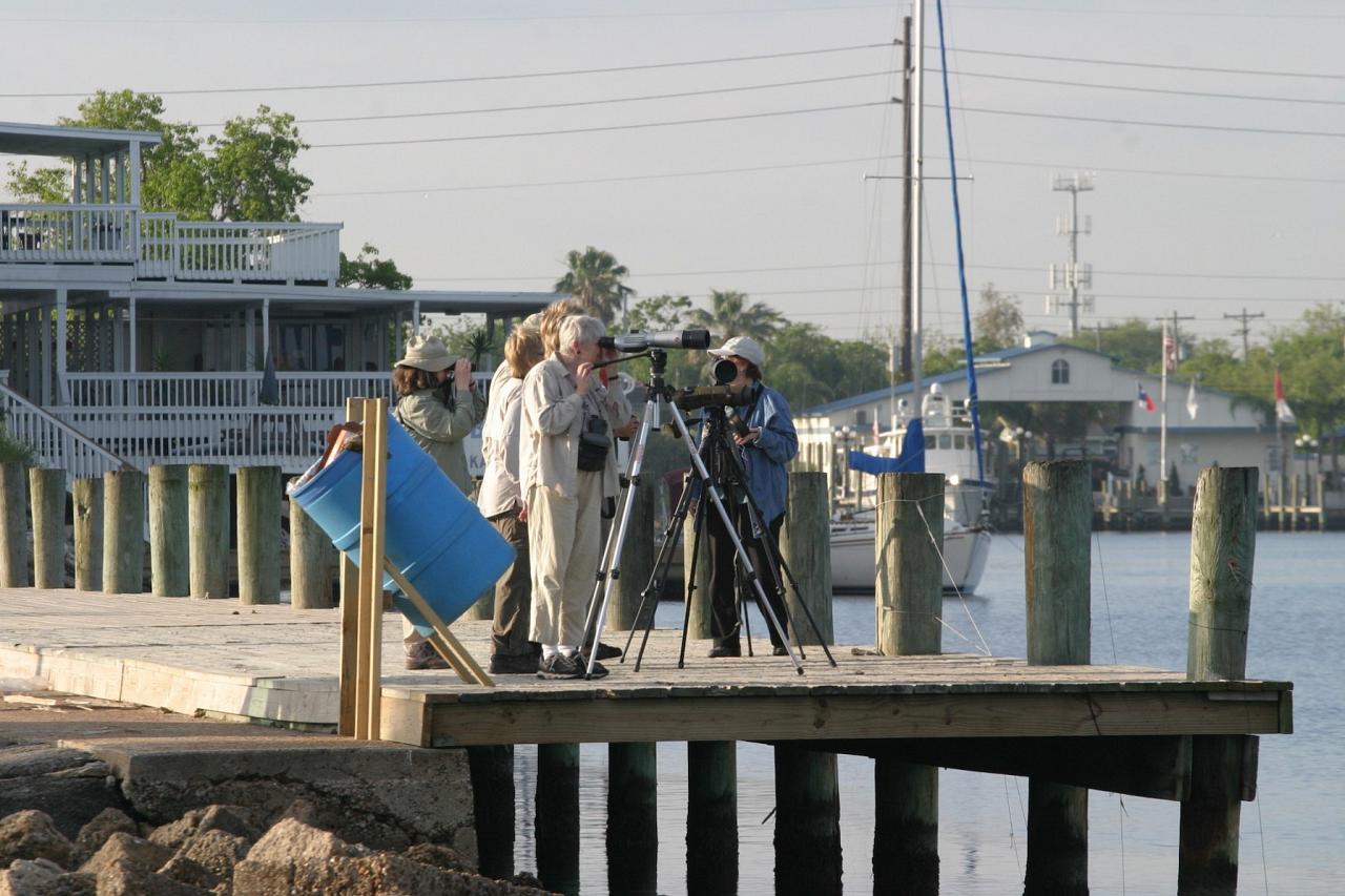 Texas, Texas Coast, Big Thicket, Texas Birding Tour, Spring Migration Tour, Texas Migration Tour, Texas Nature Tour, Naturalist Journeys