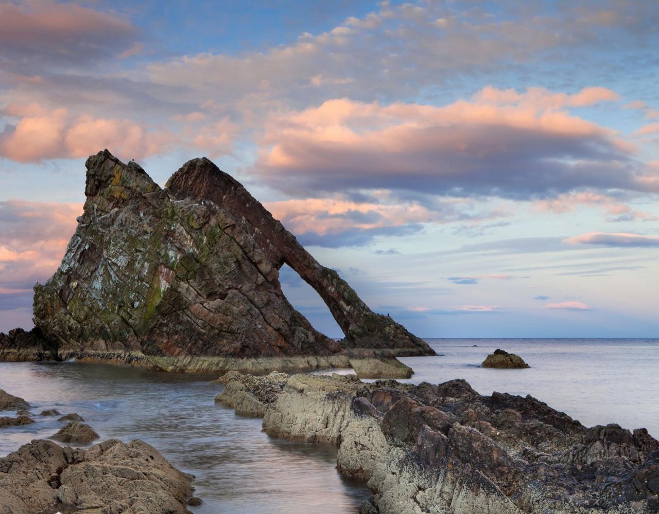 Birding Scotland, Bird Watching Scotland, United Kingdom, Scottish Isles, Naturalist Journeys, Wildlife Tour, Wildlife Photography, Ecotourism, Specialty Birds, Endemic Birds, Birding Hotspot, Cruise, Puffin