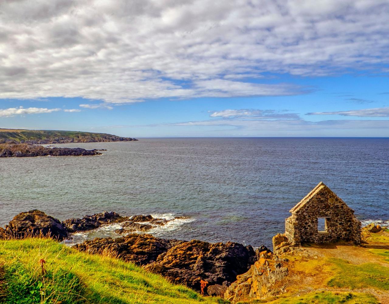 Birding Scotland, Bird Watching Scotland, United Kingdom, Scottish Isles, Naturalist Journeys, Wildlife Tour, Wildlife Photography, Ecotourism, Specialty Birds, Endemic Birds, Birding Hotspot, Cruise, Puffin