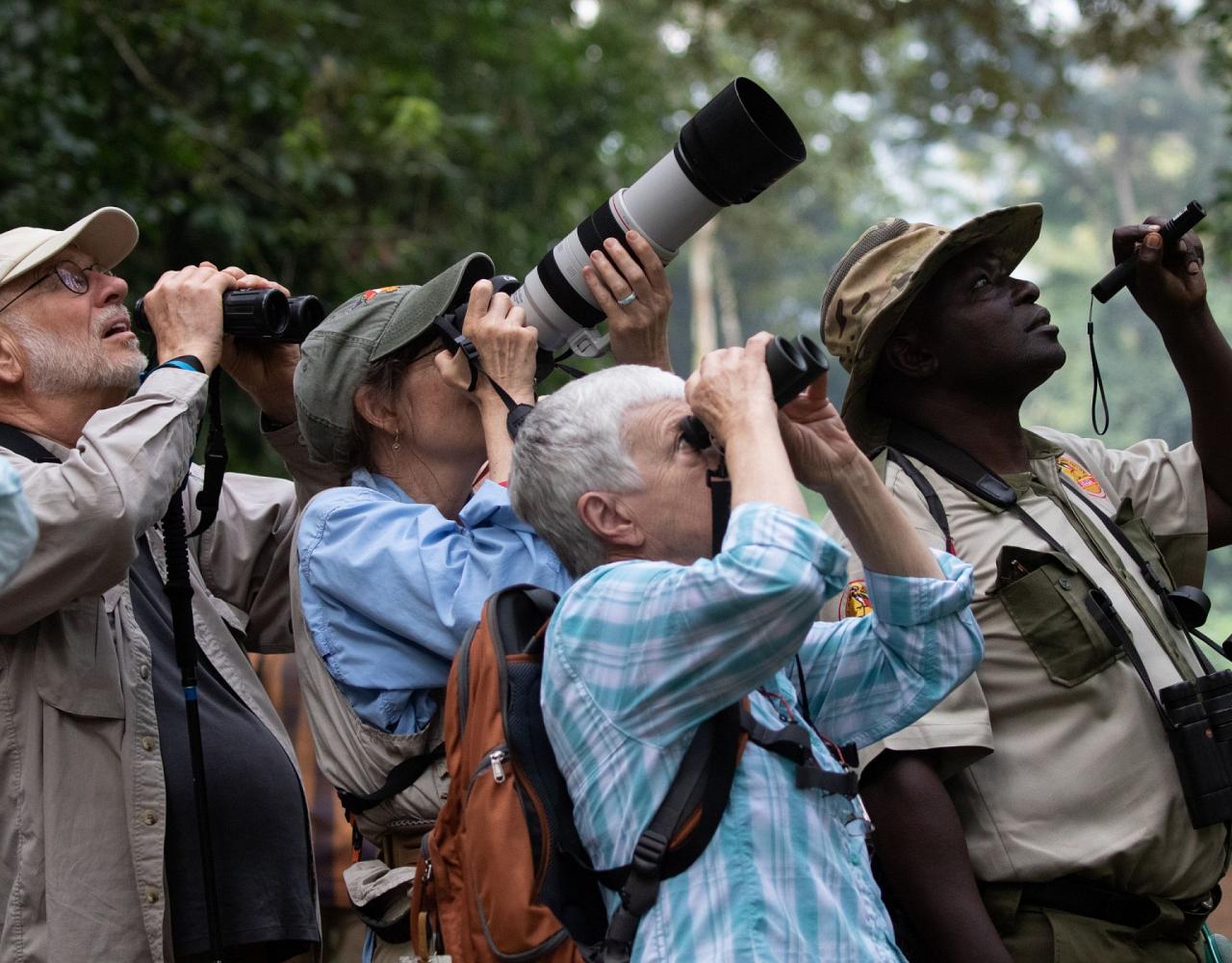 Birding Uganda, Bird Watching Uganda, Uganda, African Birds, Naturalist Journeys, Wildlife Tour, Wildlife Photography, Ecotourism, Specialty Birds, Endemic Birds, Birding Hotspot, Gorilla Trek, Queen Elizabeth National Park 
