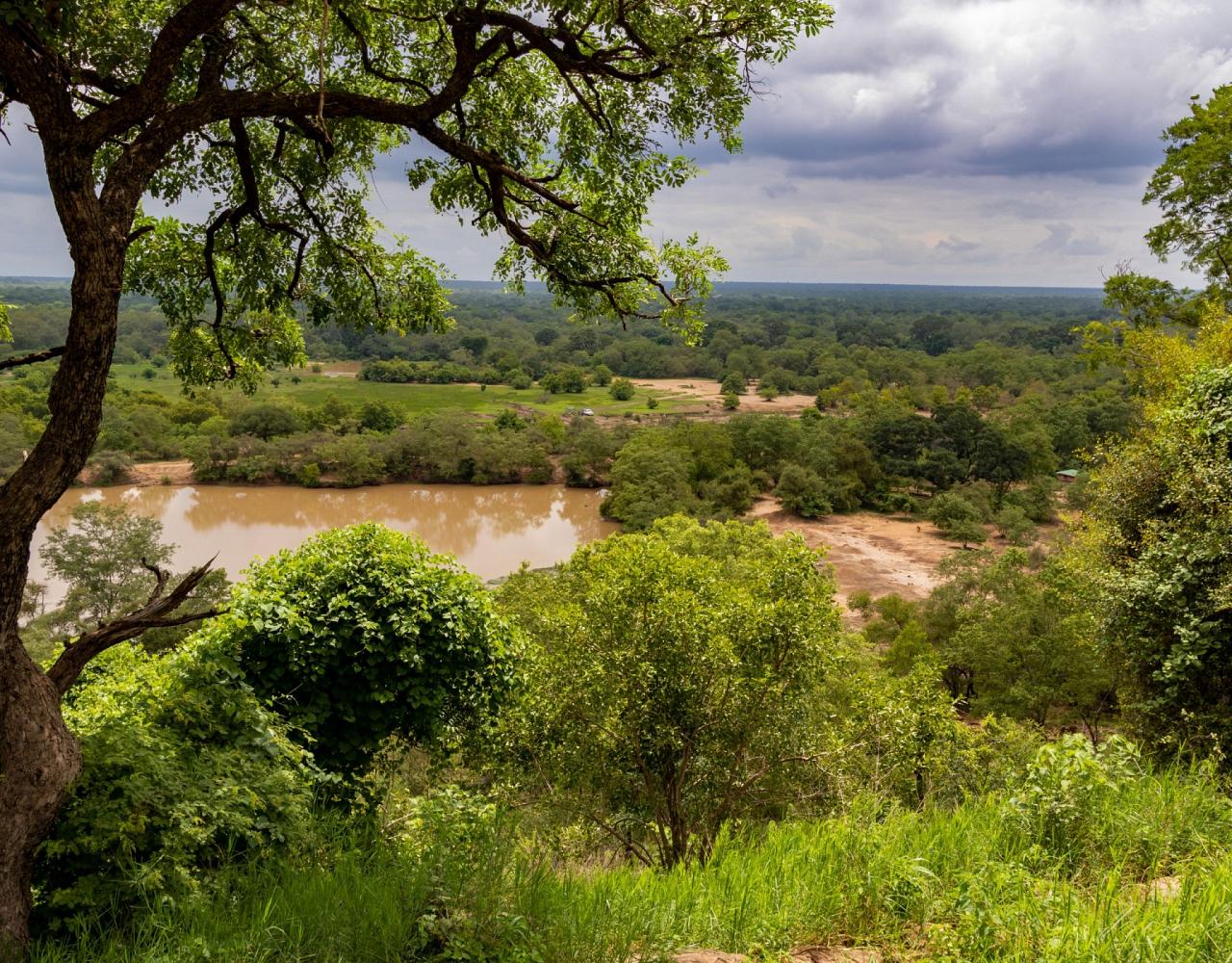 Mole National Park, Birding Ghana, Bird watching Ghana, Africa, African Birds, Naturalist Journeys, Wildlife Tour, Wildlife Photography, Ecotourism, Specialty Birds, Endemic Birds, Birding Hotspot, Safari