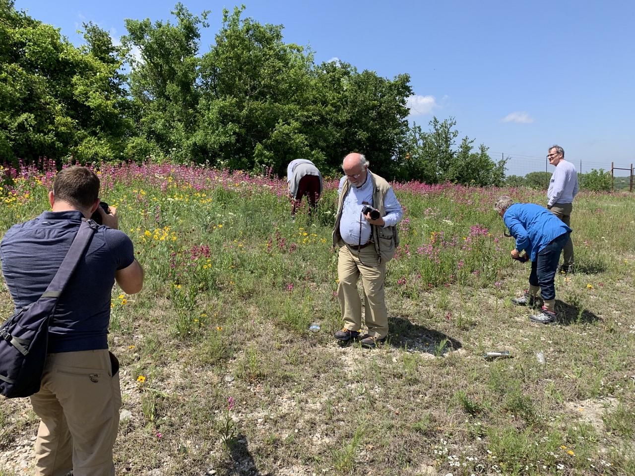 Birding Group, Texas Hill Country, Texas, Texas Birding Tour, Texas Nature Tour, Naturalist JOunreys 