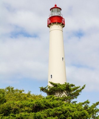 Cape May Lighthouse, Birding New Jersey, Bird watching Cape May, Cape May New Jersey, Nature Tour, Naturalist Journeys, Wildlife Tour, Wildlife Photography, Ecotourism, Specialty Birds, Birding Hotspot, Endemic Birds