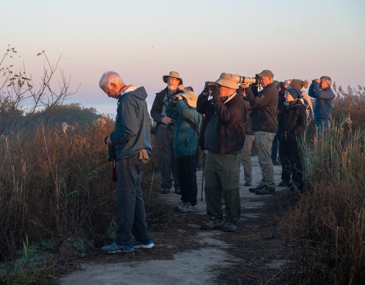 Birding New Jersey, Bird watching Cape May, Cape May New Jersey, Nature Tour, Naturalist Journeys, Wildlife Tour, Wildlife Photography, Ecotourism, Specialty Birds, Birding Hotspot, Endemic Birds