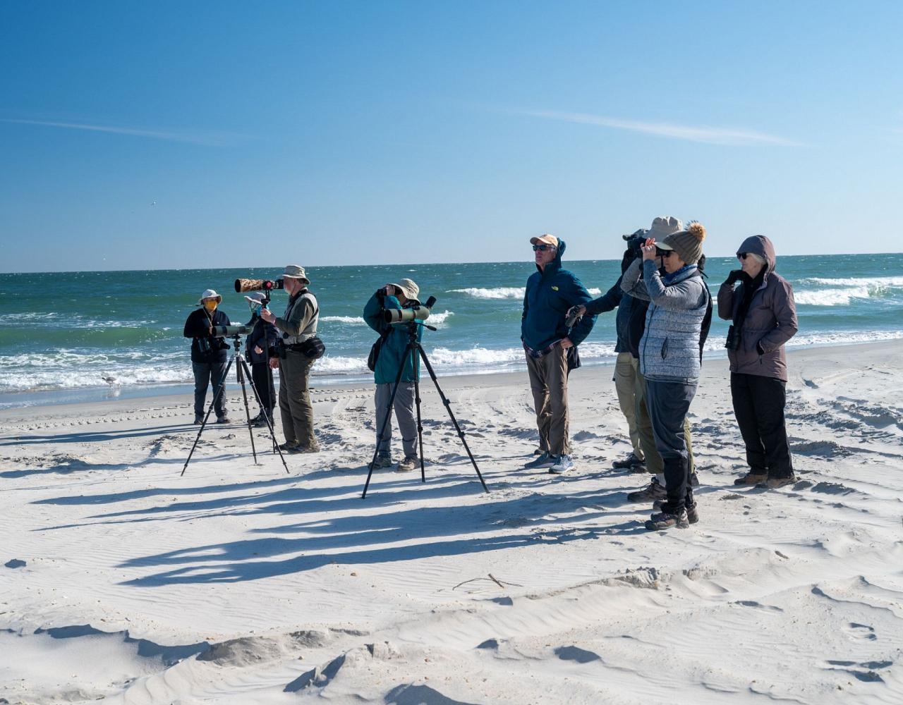 Birding New Jersey, Bird watching Cape May, Cape May New Jersey, Nature Tour, Naturalist Journeys, Wildlife Tour, Wildlife Photography, Ecotourism, Specialty Birds, Birding Hotspot, Endemic Birds