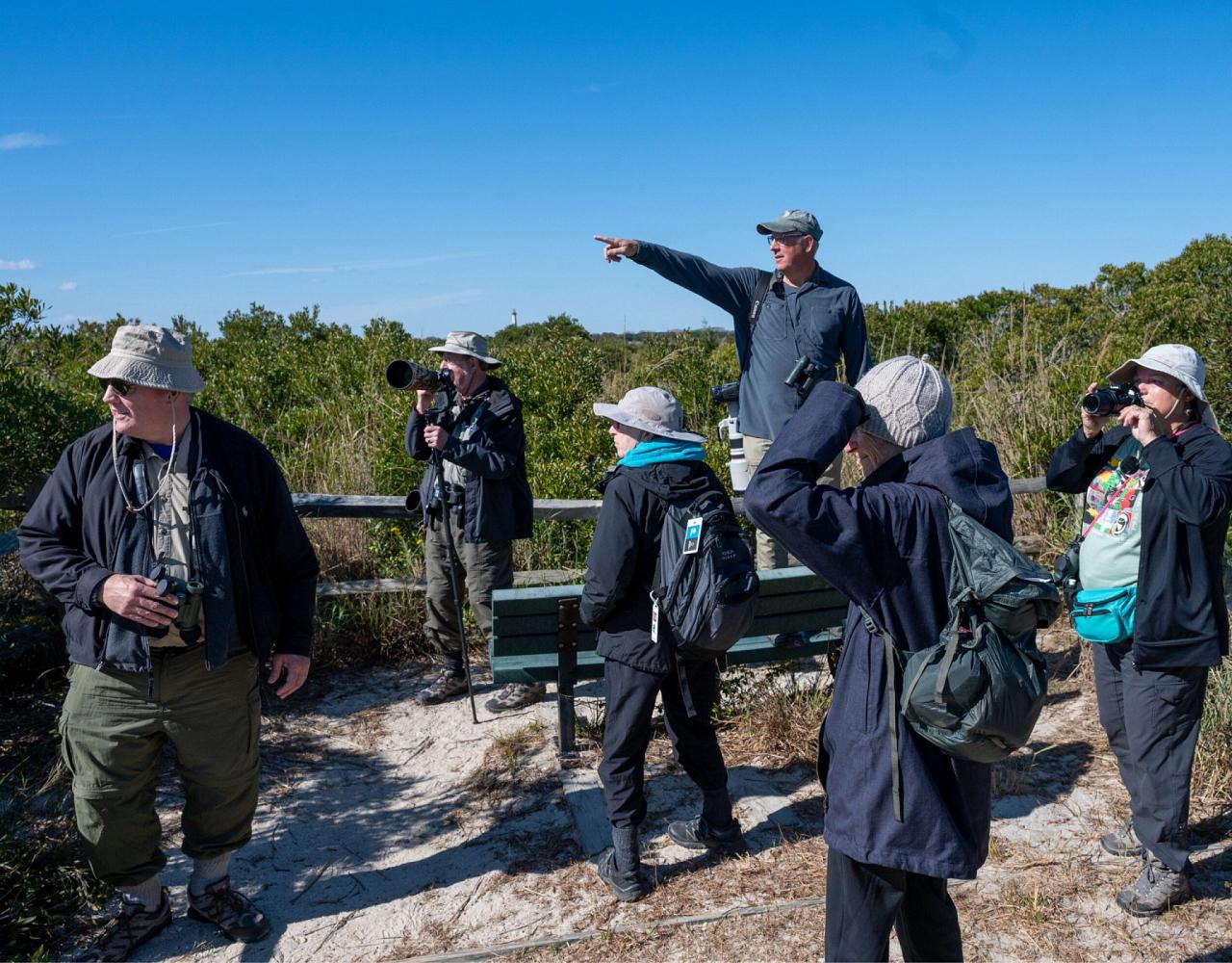 Birding New Jersey, Bird watching Cape May, Cape May New Jersey, Nature Tour, Naturalist Journeys, Wildlife Tour, Wildlife Photography, Ecotourism, Specialty Birds, Birding Hotspot, Endemic Birds