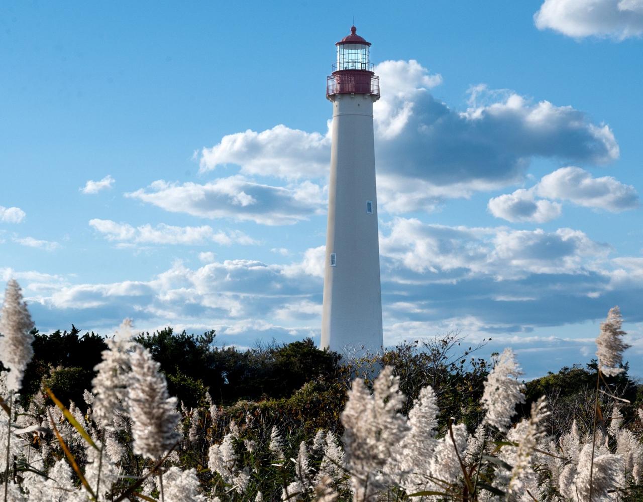 Birding New Jersey, Bird watching Cape May, Cape May New Jersey, Nature Tour, Naturalist Journeys, Wildlife Tour, Wildlife Photography, Ecotourism, Specialty Birds, Birding Hotspot, Endemic Birds