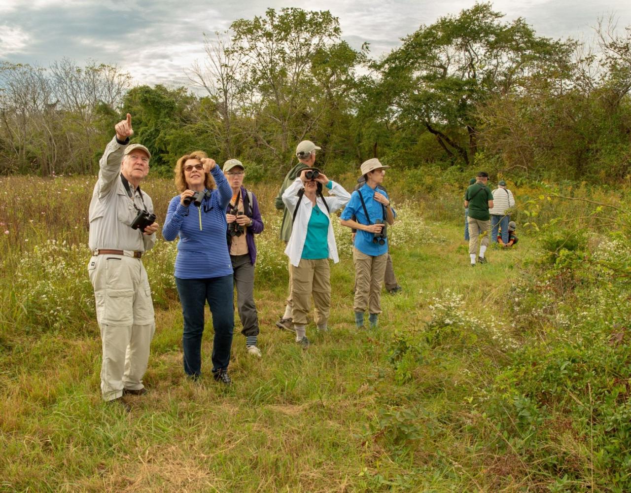 Birding New Jersey, Bird watching Cape May, Cape May New Jersey, Nature Tour, Naturalist Journeys, Wildlife Tour, Wildlife Photography, Ecotourism, Specialty Birds, Birding Hotspot, Endemic Birds