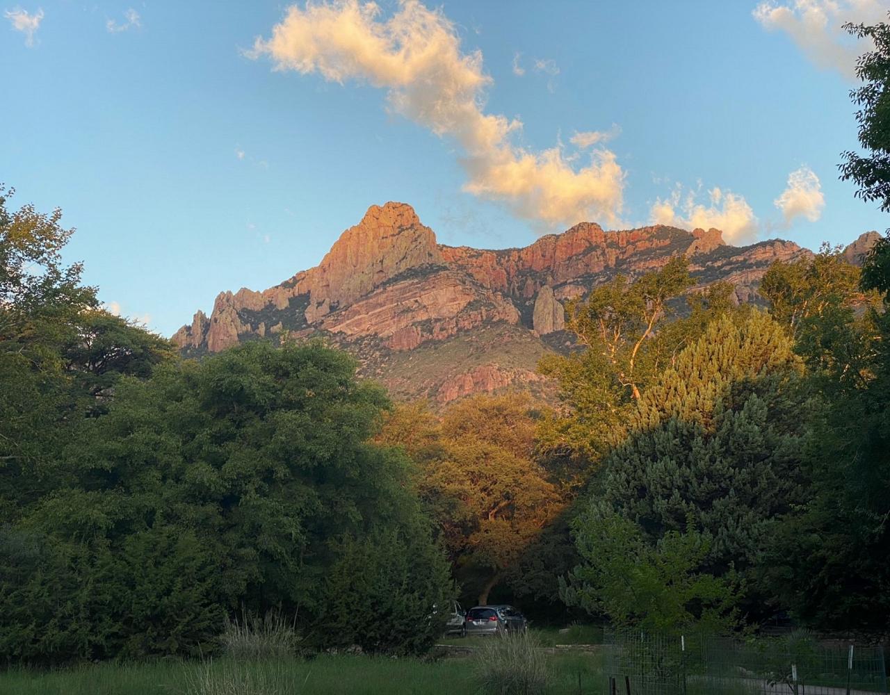 Birding Arizona, Bird Watching Arizona, Naturalist Journeys, Wildlife Tour, Wildlife Photography, Ecotourism, Specialty Birds, Endemic Birds, Birding Hotspot, Sky Islands, Saguaro National Park