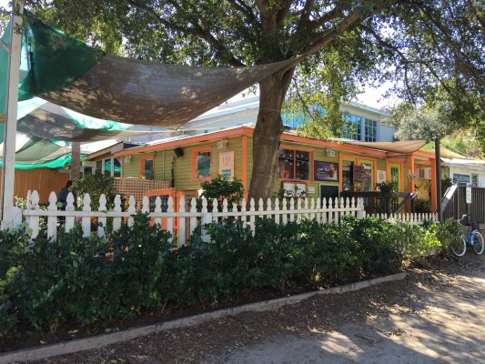 South Carolina, Folly Beach, South Caroline Birding Tour, South Carolina Nature Tour, Naturalist Journeys