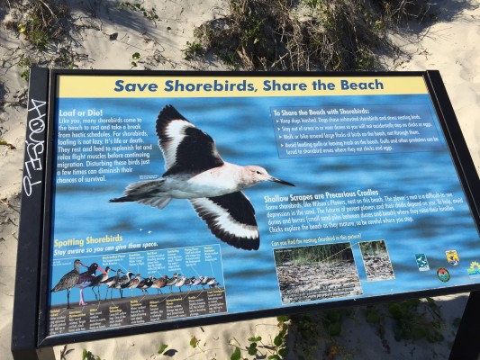 Folly Beach Signage, South Carolina, Folly Beach, South Caroline Birding Tour, South Carolina Nature Tour, Naturalist Journeys