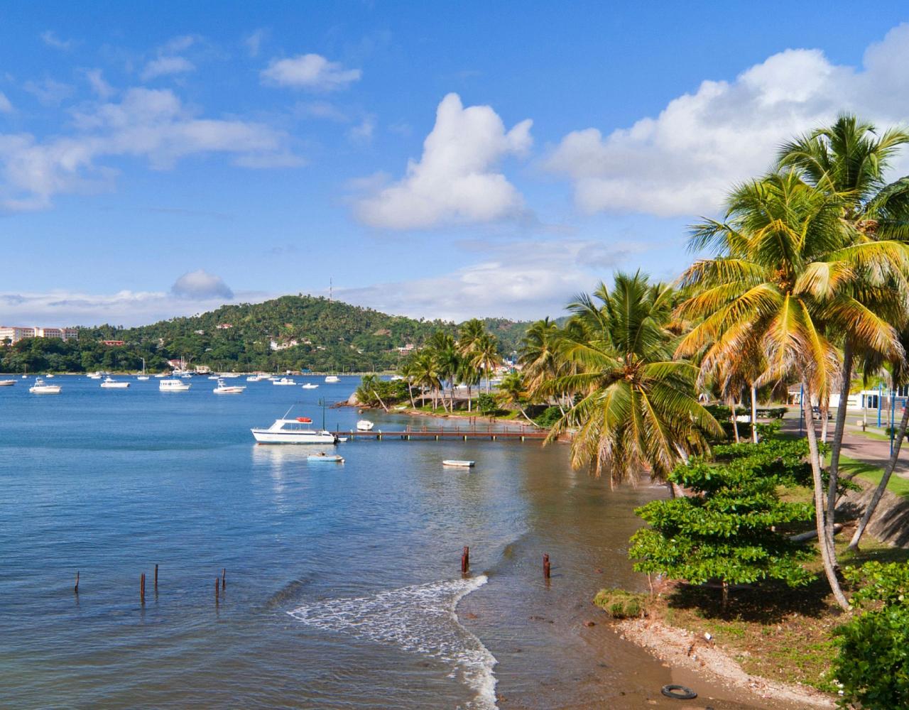 Birding Jamaica, Birding the Dominican Republic, Bird watching Caribbean, Nature Tour, Naturalist Journeys, Wildlife Tour, Wildlife Photography, Ecotourism, Specialty Birds, Birding Hotspot, Endemic Birds