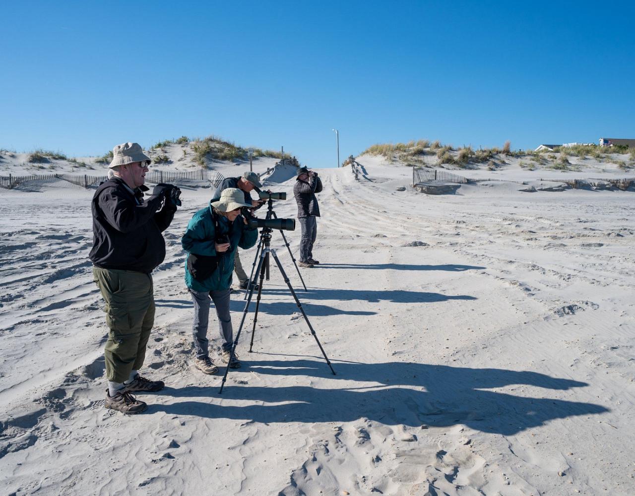 Birding New Jersey, Bird watching Cape May, Cape May New Jersey, Nature Tour, Naturalist Journeys, Wildlife Tour, Wildlife Photography, Ecotourism, Specialty Birds, Birding Hotspot, Endemic Birds