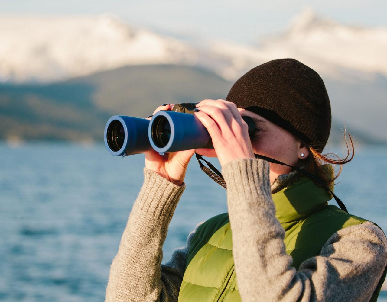 Birding Alaska, Bird Watching Alaska, Birding North America, Naturalist Journeys, Wildlife Tour, Wildlife Photography, Ecotourism, Specialty Birds, Endemic Birds, Birding Hotspot, Whale Watching