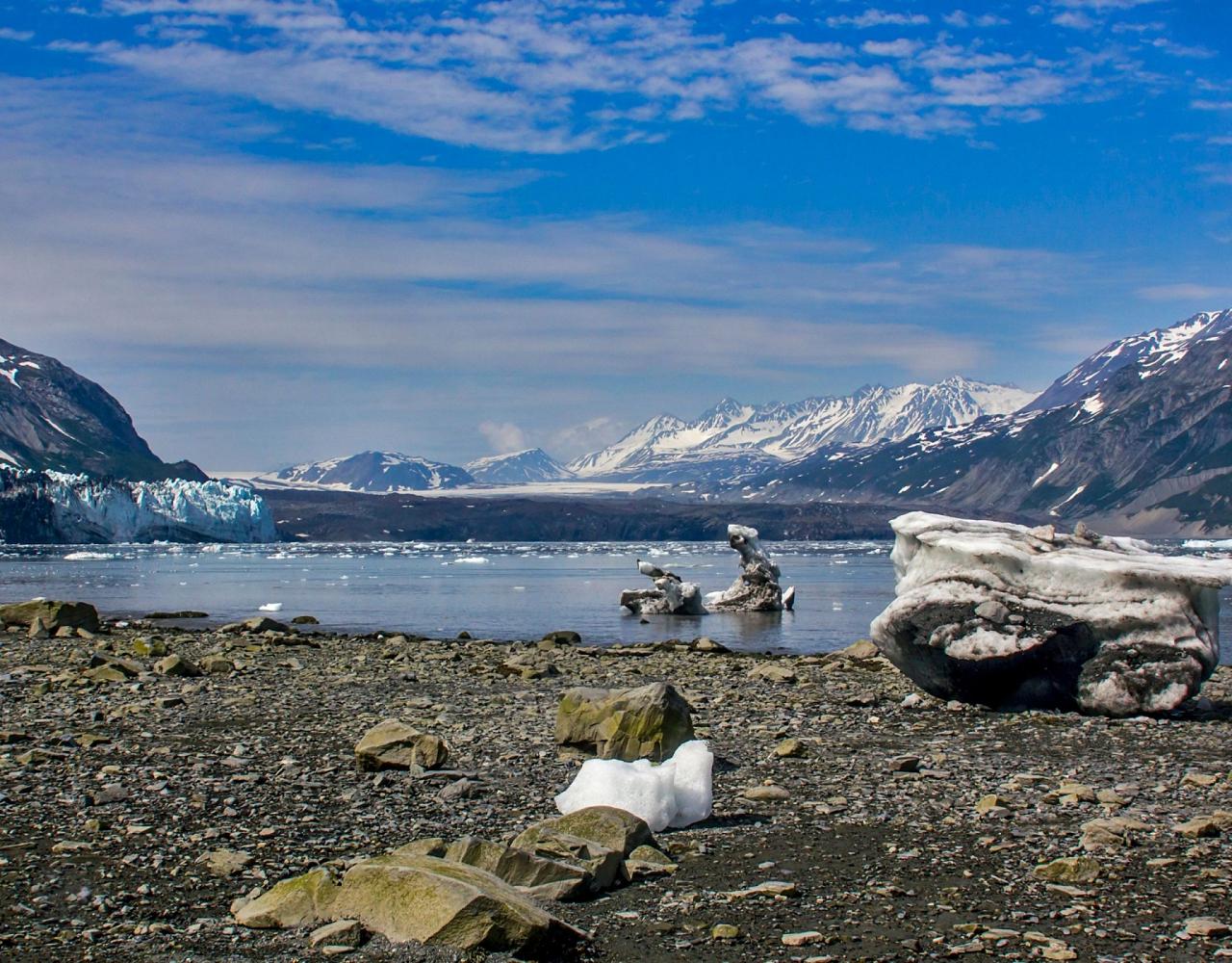 Birding Alaska, Bird Watching Alaska, Birding North America, Naturalist Journeys, Wildlife Tour, Wildlife Photography, Ecotourism, Specialty Birds, Endemic Birds, Birding Hotspot, Whale Watching