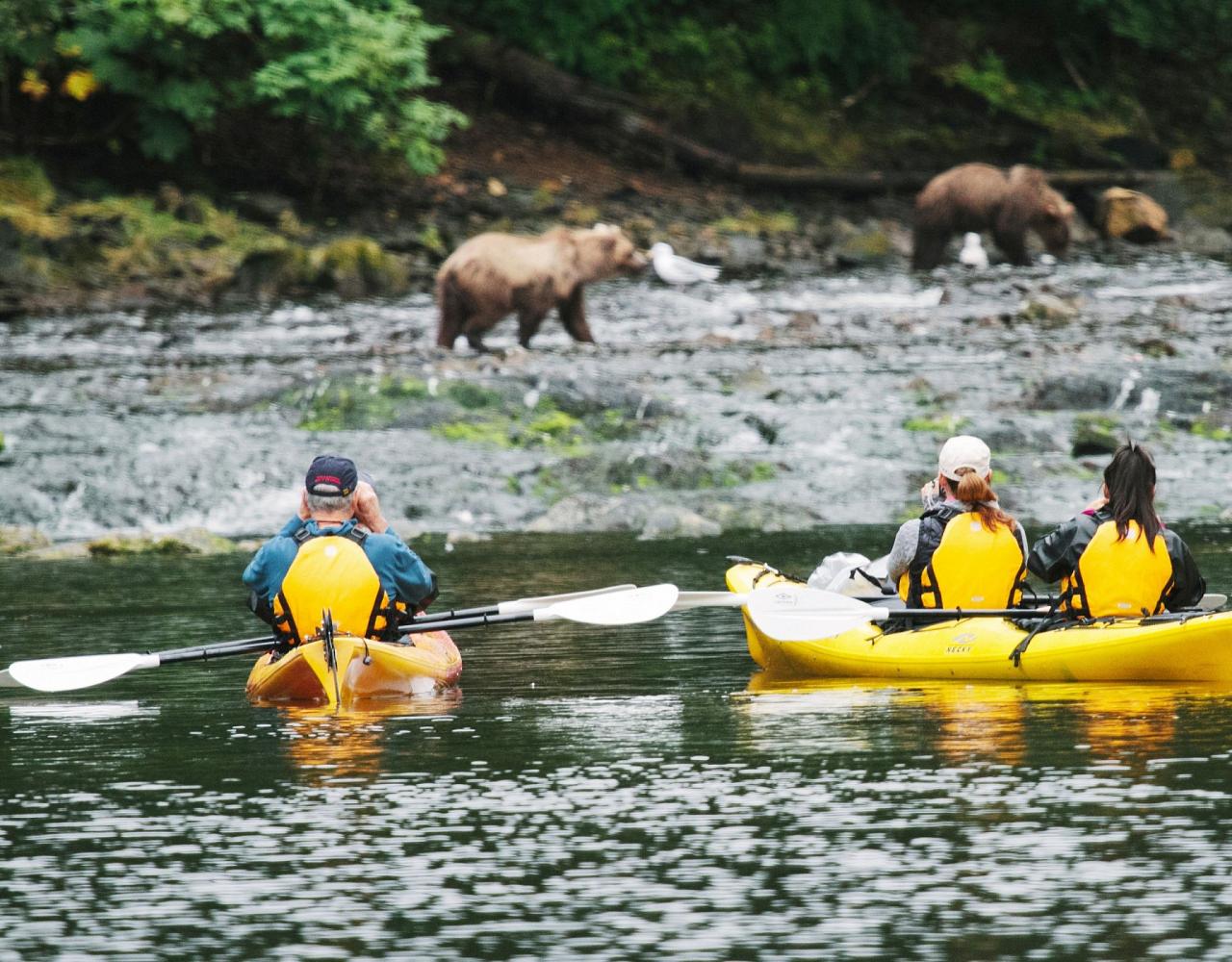 Birding Alaska, Bird Watching Alaska, Birding North America, Naturalist Journeys, Wildlife Tour, Wildlife Photography, Ecotourism, Specialty Birds, Endemic Birds, Birding Hotspot, Whale Watching