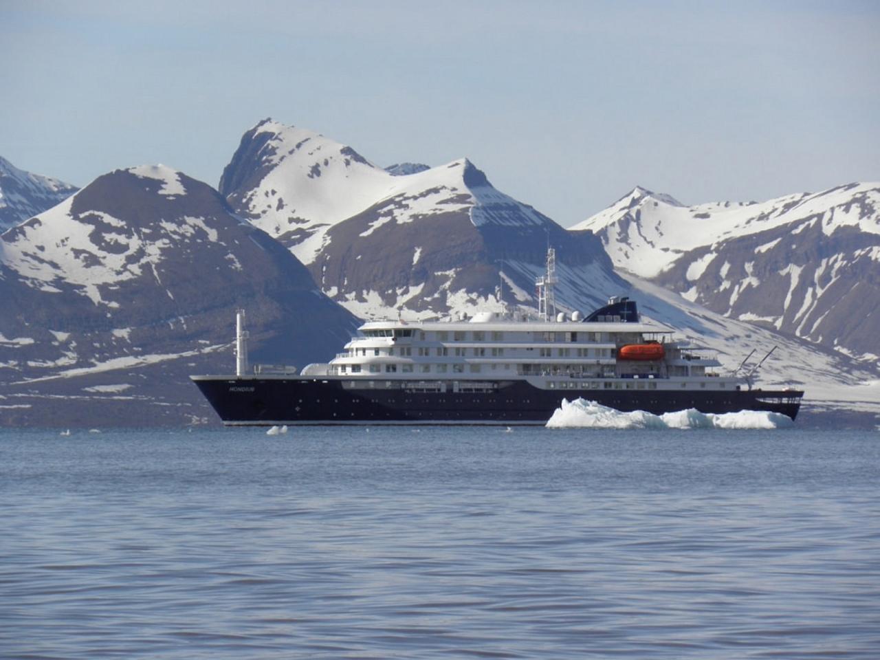 Birding Svalbard, Svalbard Nature, Spitsbergen, Bird watching Svalbard, Polar Region, Naturalist Journeys, Wildlife Tour, Wildlife Photography, Ecotourism, Specialty Birds, Birding Hotspot, Polar Bears