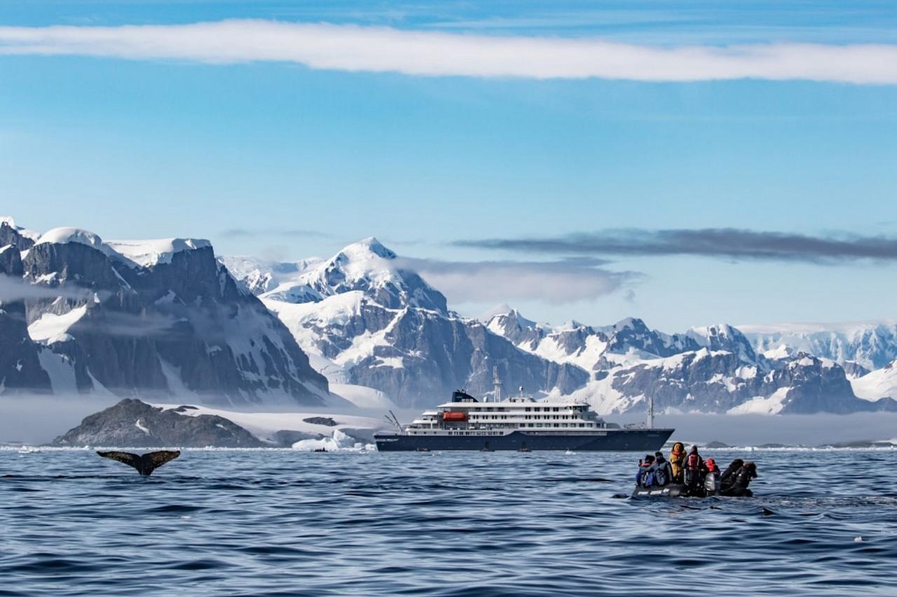 Birding Svalbard, Svalbard Nature, Spitsbergen, Bird watching Svalbard, Polar Region, Naturalist Journeys, Wildlife Tour, Wildlife Photography, Ecotourism, Specialty Birds, Birding Hotspot, Polar Bears