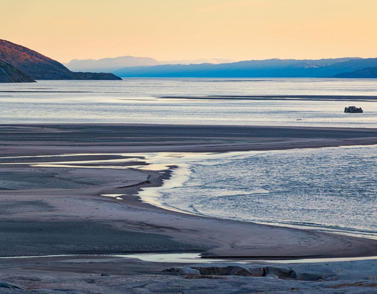 Birding the Northwest Passage, Birding Greenland, Bird watching Greenland, Arctic Wildlife, Nature Tour, Naturalist Journeys, Wildlife Tour, Wildlife Photography, Ecotourism, Specialty Birds, Birding Hotspot, Lancaster Sound, Whale-watching, Polar Bears