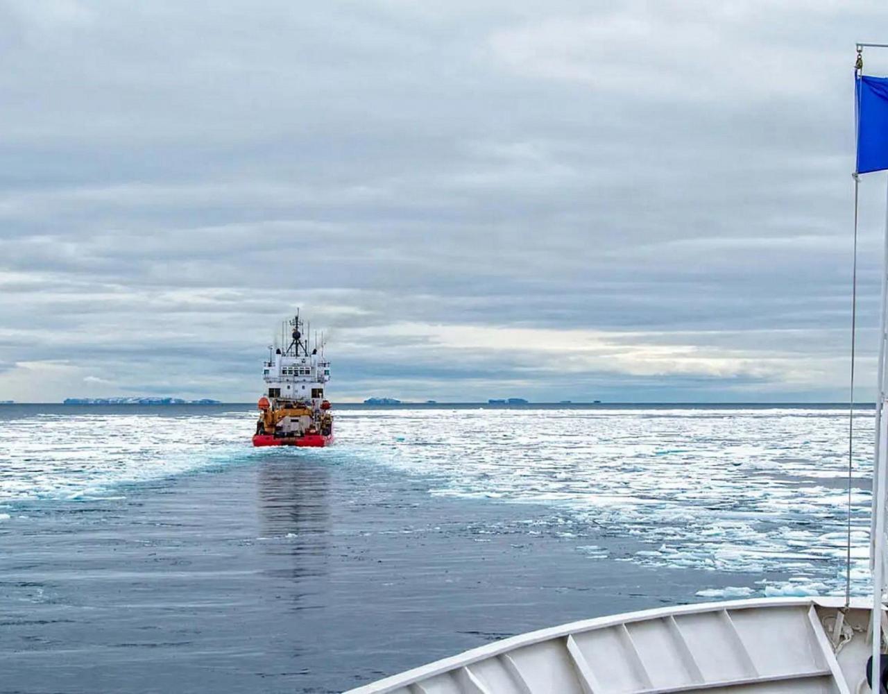 Birding the Northwest Passage, Birding Greenland, Bird watching Greenland, Arctic Wildlife, Nature Tour, Naturalist Journeys, Wildlife Tour, Wildlife Photography, Ecotourism, Specialty Birds, Birding Hotspot, Lancaster Sound, Whale-watching, Polar Bears